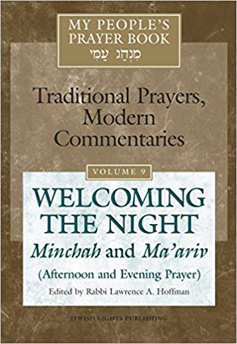 Traditional prayers, modern commentaries vol. 9